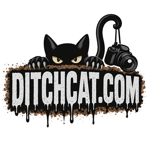 Ditch Cat