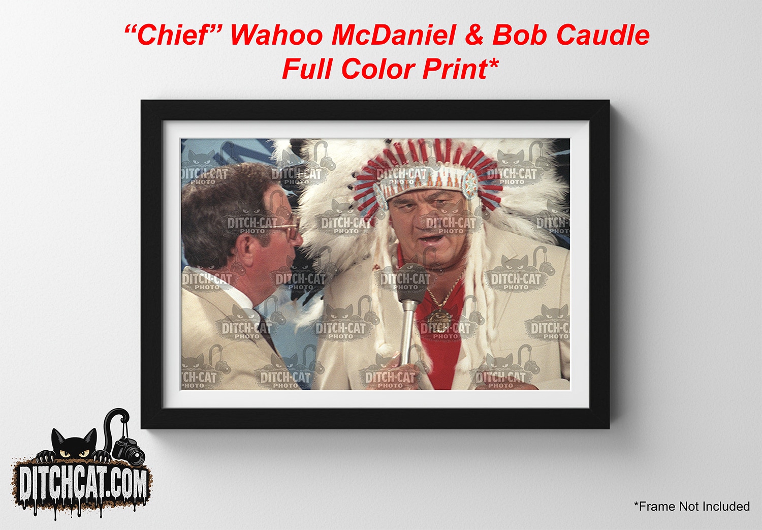 Framed full-color print of a man wearing a Native American-style feather headdress speaking into a microphone, with another man beside him.