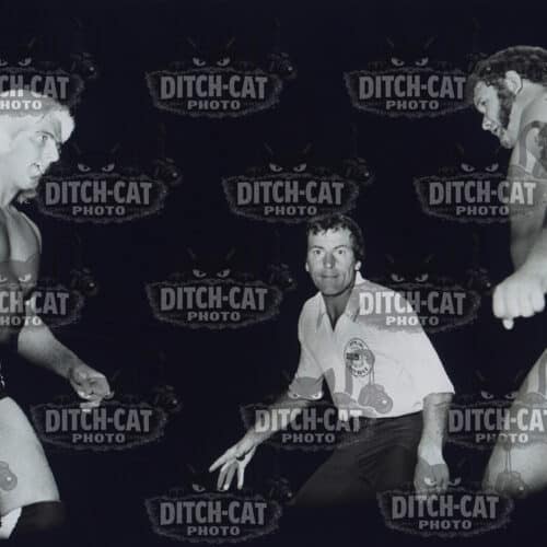 Black-and-white collage of vintage wrestlers in action, with a DITCH-CAT PHOTO watermark across the scene.
