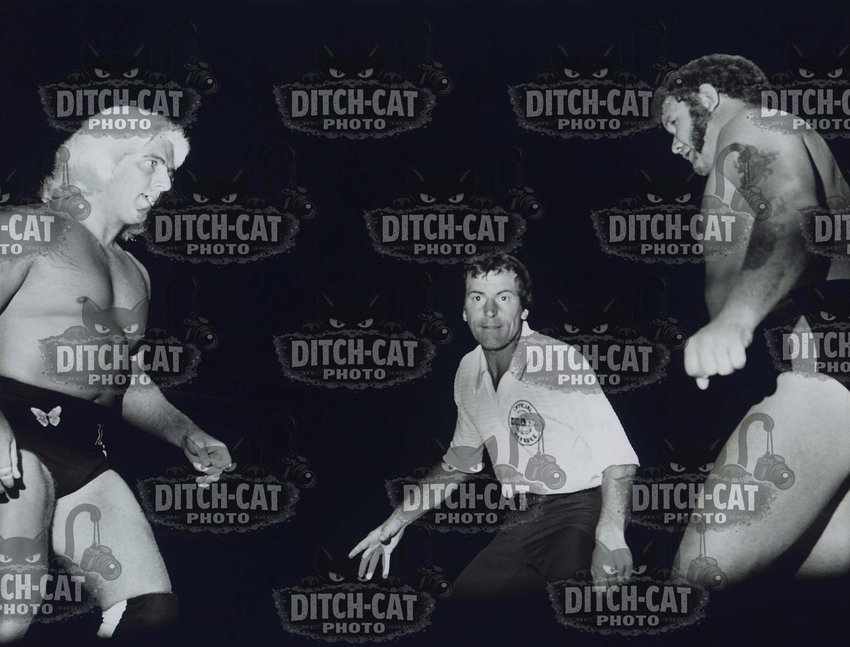 Black-and-white collage of vintage wrestlers in action, with a DITCH-CAT PHOTO watermark across the scene.