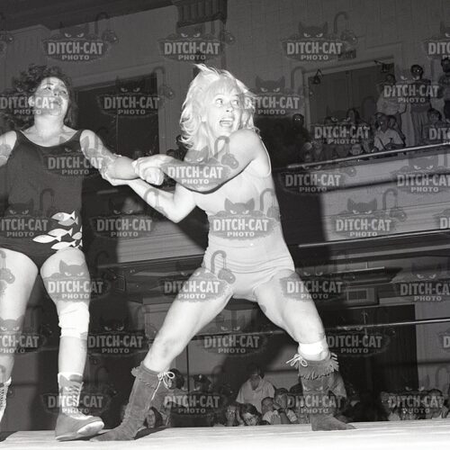 Two female wrestlers grapple in the ring as a crowd watches from the stands.