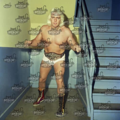 Male wrestler with blond wig and championship belt, shirtless, standing on a stairway and facing the camera.